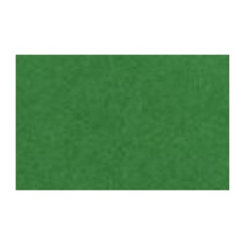 KARTON COLORLINE 50x65 150g 10A 30-ZIELONY 4069