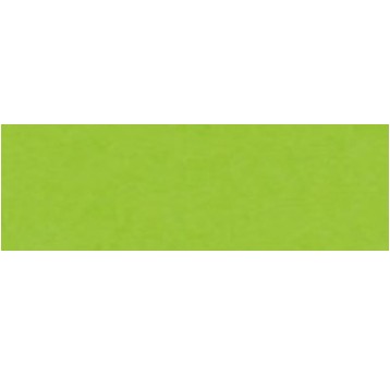 KARTON KOLOROWY 170 G A3 (25) JASNOZIELONY 4978