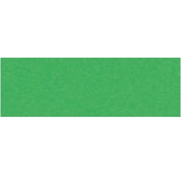 KARTON KOLOROWY 170G A3 (25) ZIELONY 4985
