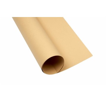 KARTON OXF A2 160G 16 JASNOBRĄZOWY