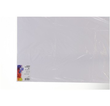 KARTON OXF B1 300G BIAŁY 400173614