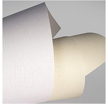 KARTON OZDOBNY BORNEO BIAŁY 220G/M2 (20) 4692