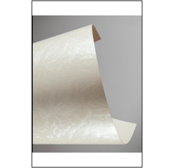 KARTON OZDOBNY FROST PERŁOWA BIEL 230G (20) 9470