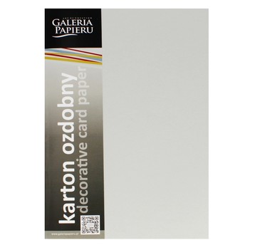 KARTON OZDOBNY GŁADKI JASNOSZARY SATYNA 210G (20)