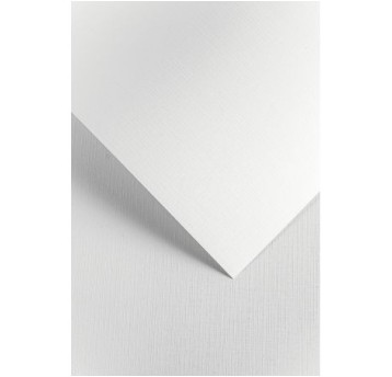 KARTON OZDOBNY KRATKA BIAŁY (20) 240G