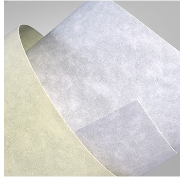 KARTON OZDOBNY KREMOWY GRANIT 220G/M2 (20) 4685