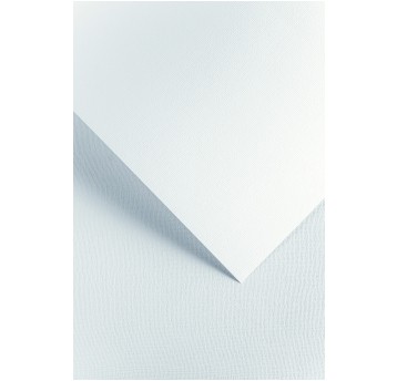 KARTON OZDOBNY LEN BIAŁY (20) 220G 4906