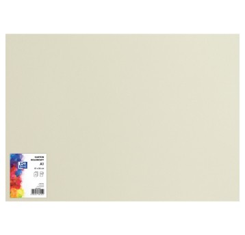 KARTON TOP B1 225G 400150253 93 JASNOSZARY 6629