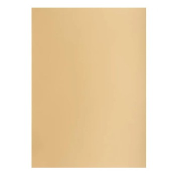 KARTON TOP B2 225G 400150327 16 JASNOBRĄZOWY 7527