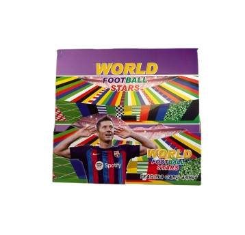 KARTY PIŁKARSKIE WORLD FOOTBALL STARS (36)7190