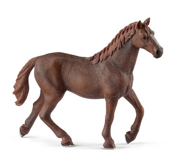 KLACZ PEŁNEJ KRWI ANGIELSKIEJ SLH13855