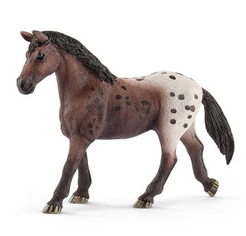 KLACZ RASY APPALOOSA SLH13861
