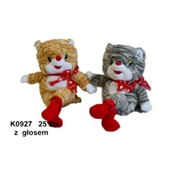 KOT 2 KOL. GŁOS 124906