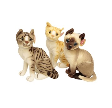 Kot 3 kolory Siedzący Duży