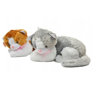 Kotek Łaciaty Leżący Duży