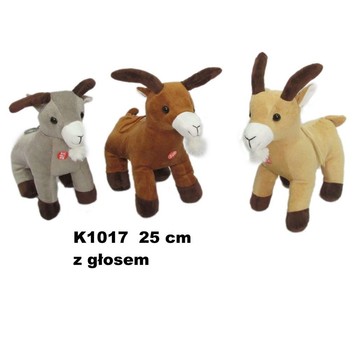 KOZICA 3 KOL GŁOS 135834