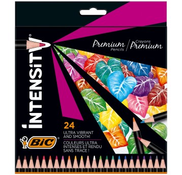 KREDKI INTENSITY WOOD 24 KOL 3207