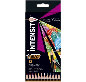 KREDKI OŁÓWKOWE INTENSITY WOOD 12KOL BIC 1968