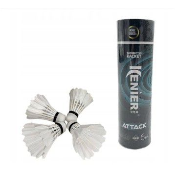 LOTKI W TUBIE 6SZT 2848