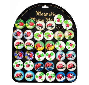 Magnesy biedronki O 3,5 cm