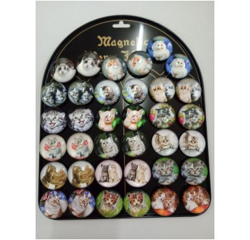 Magnesy koty O 3,5 cm