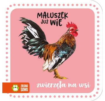 Maluszek juz wie.Zwierzęta na wsi 9788382406740
