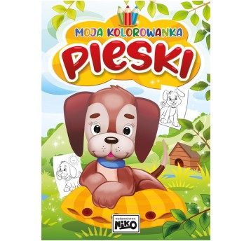 MOJA KOLOROWANKA PIESKI 5616