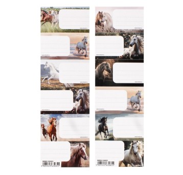 NAKLEJKI NA ZESZYT HORSES STK PB A'25 0855