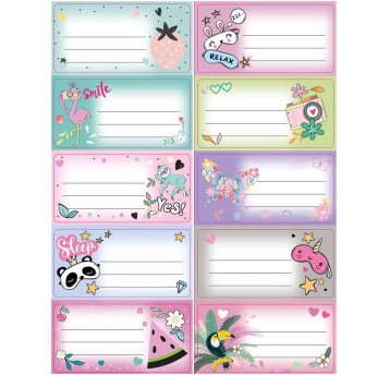 NAKLEJKI NA ZESZYTY/ NO NAME DZIEWCZYNKA 0129