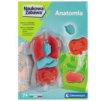 NAUKOWA ZABAWA ANATOMIA 2523