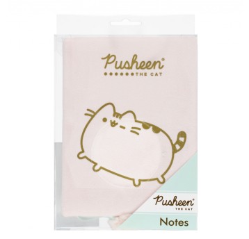 NOTES PLUSZOWY A5 96k. PUSHEEN 2080