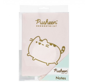 NOTES PLUSZOWY A5/96K PUSHEEN 2080