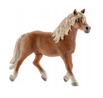 OGIER RASY HAFLINGER 7118