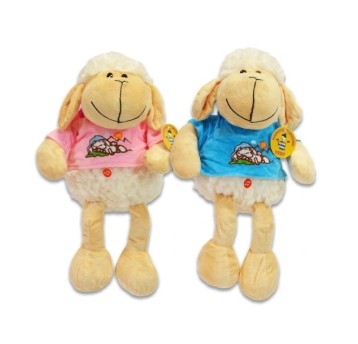 OWIECZKA W KOSZULCE DUŻA 1701