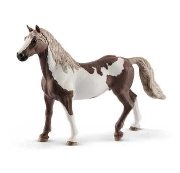 PAINT GELDING KOŃ 5643