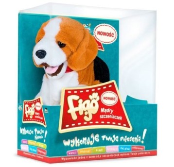 Pies FIGO reagujący na komendy 6546