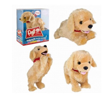 PIES FIGO REAGUJĄCY NA KOMENDY 6560