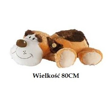 Pies Leżący Uśmiechnięty Wielki