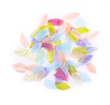 PIÓRA GĘSIE 6 CM, 5 G, PASTEL