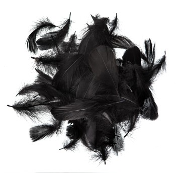 PIÓRKA 5-12 CM, 10 G CZARNE 6846