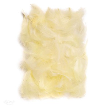 PIÓRKA 5-12 CM, 10 G ECRU A'6 2710