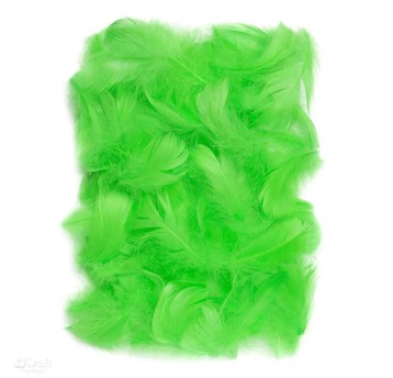 PIÓRKA 5-12 CM, 10 G GREEN 2697 A'6