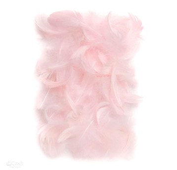 PIÓRKA 5-12 CM, 10 G PINK 2734 A'6