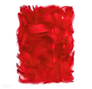 PIÓRKA 5-12 CM, 10 G RED A'6 2703