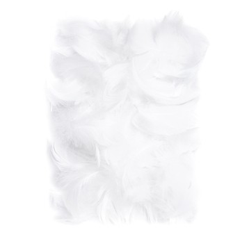 PIÓRKA 5-12 CM, 10 G WHITE A'6 2673