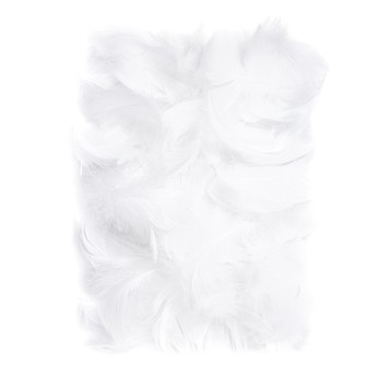 PIÓRKA 5-12 CM, 10 G WHITE A'6 2673
