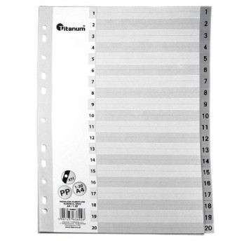 PRZEKŁADKI A4 1-20 PP IN20 6046