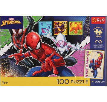 PUZLLE 100 PREMIUM BOHATERSKI PAJĄK 16557
