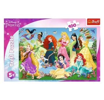 PUZZLE 100 CZARUJĄCE KSIĘŻNICZKI 16417