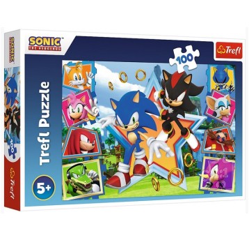 PUZZLE 100 POZNAJ SONICA 16465